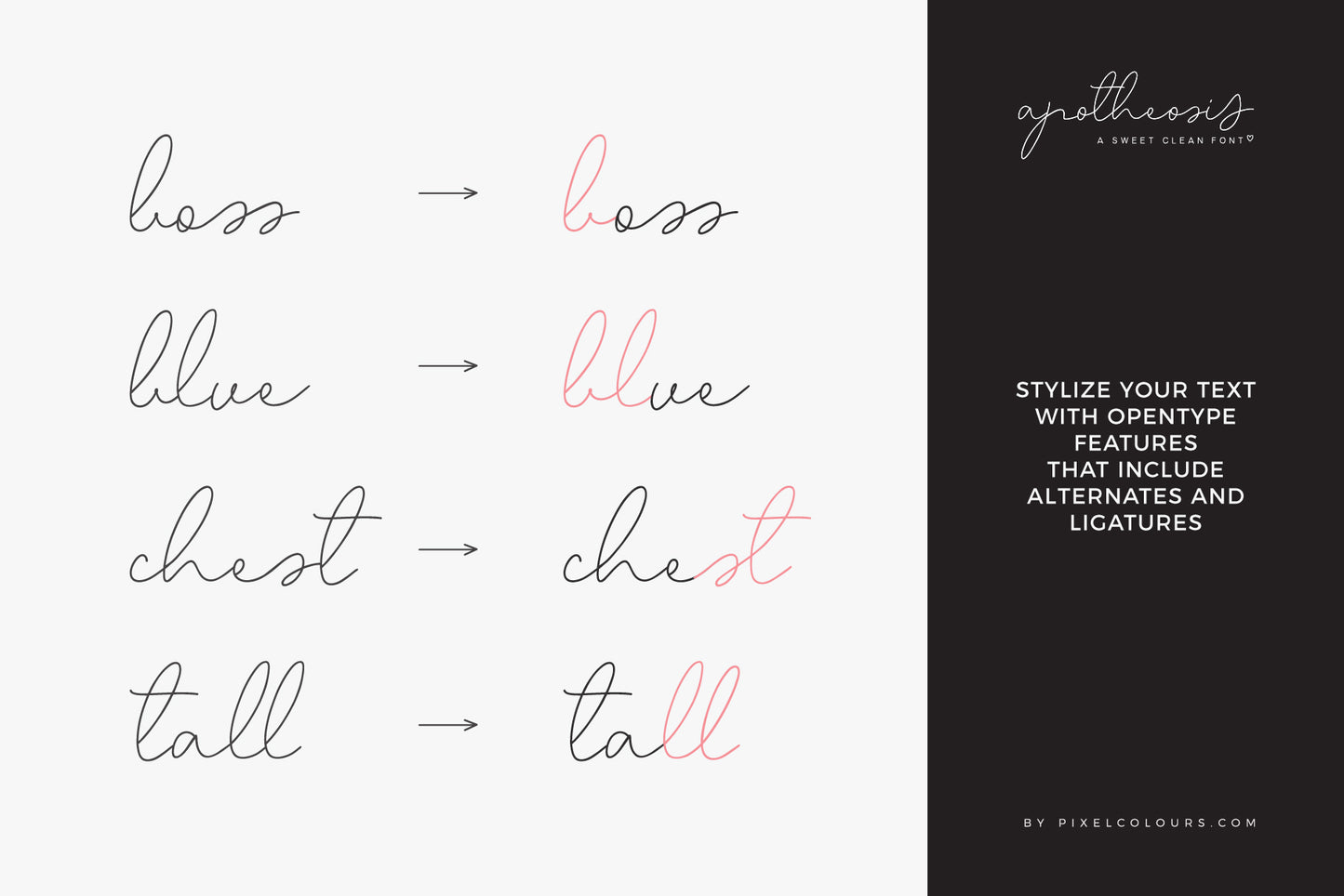 Apotheosis Script Font