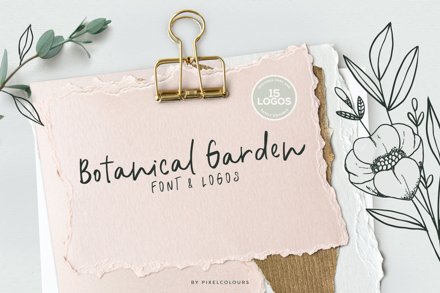 Botanical Garden Font and Logos