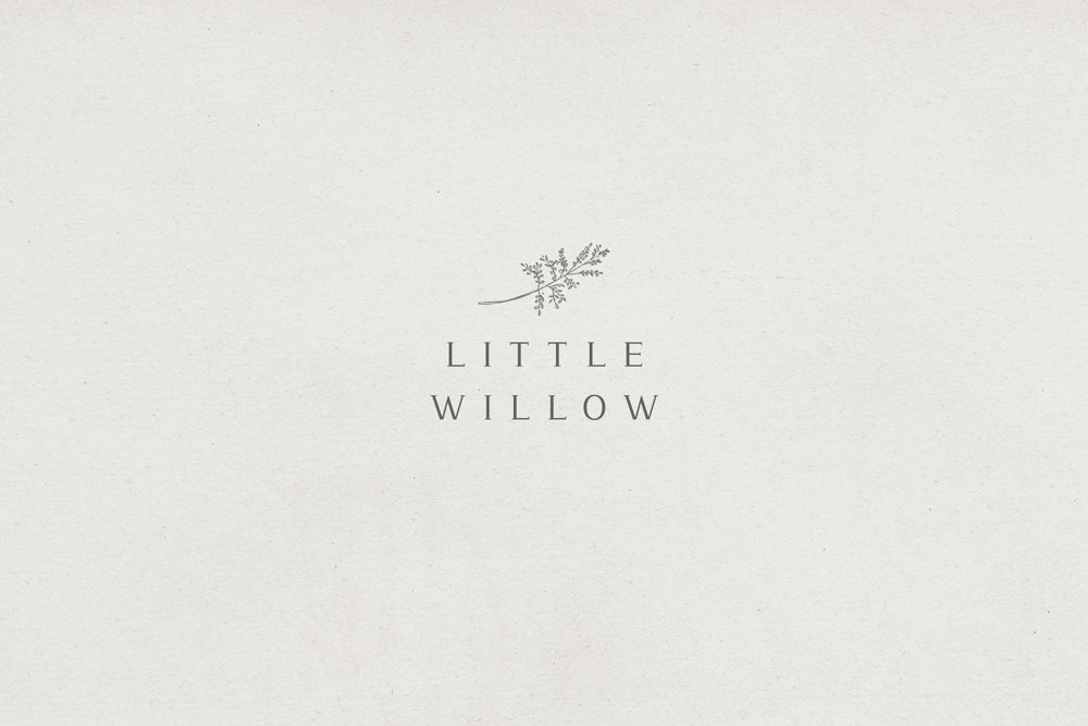 Chic and Stylish Variable Serif Font