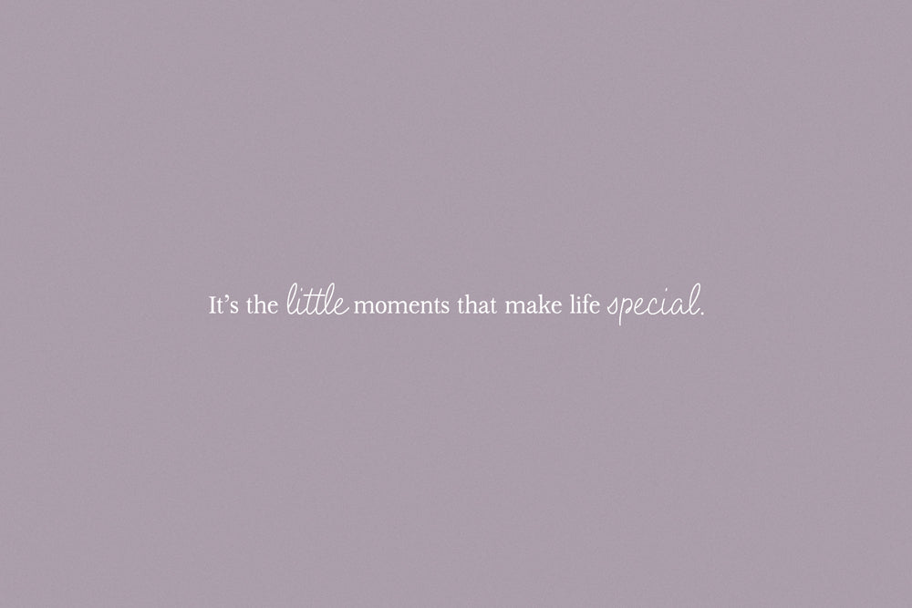 Lilac and Linen Monoline Script Font