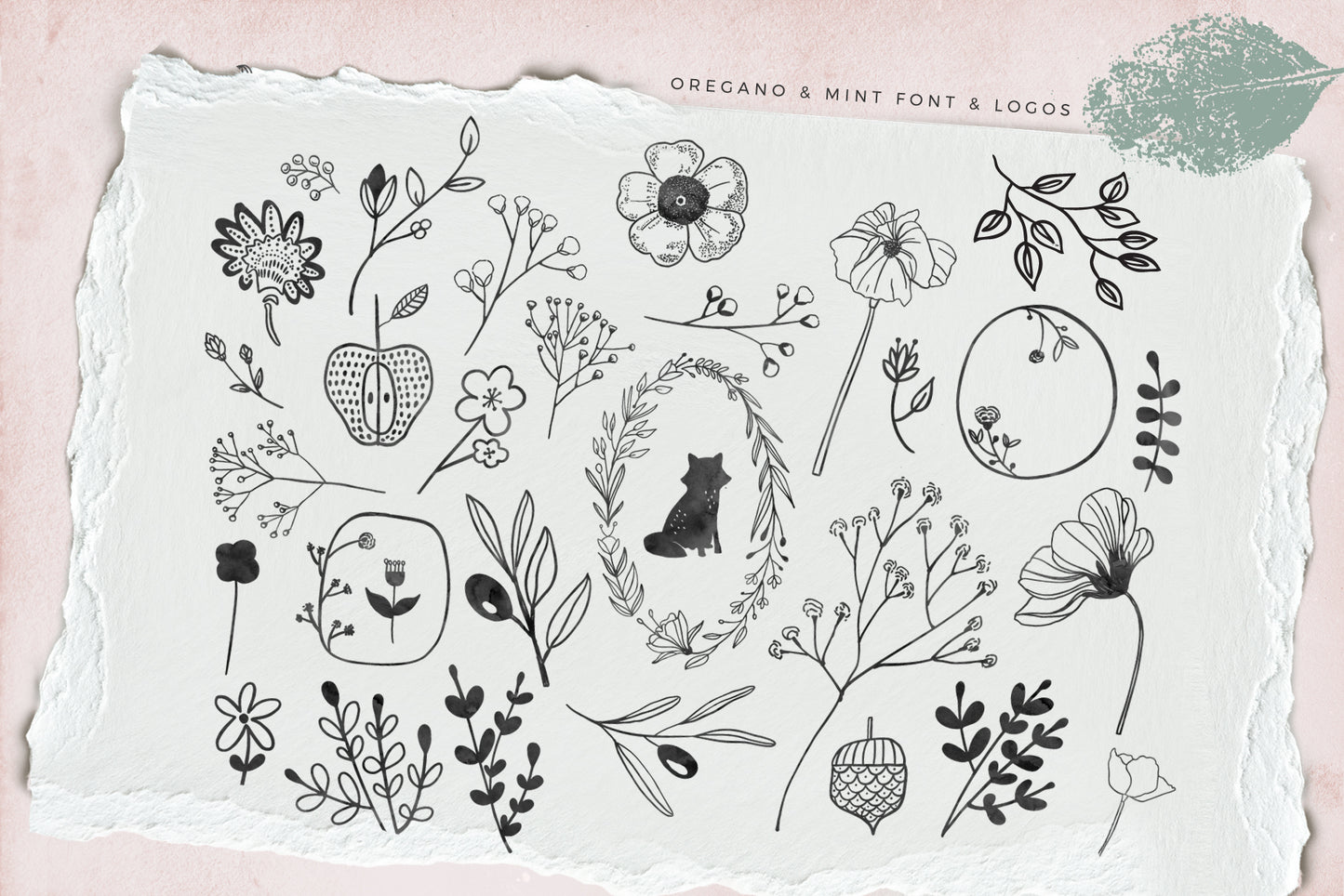 Oregano Mint Script Font and Logos