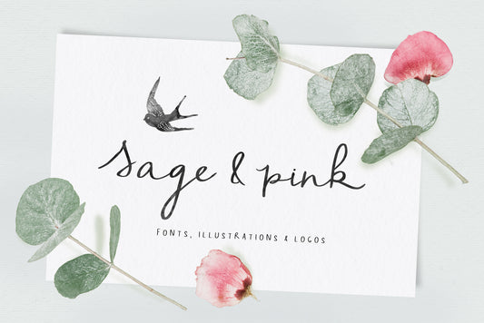 Sage and Pink Font and Logos