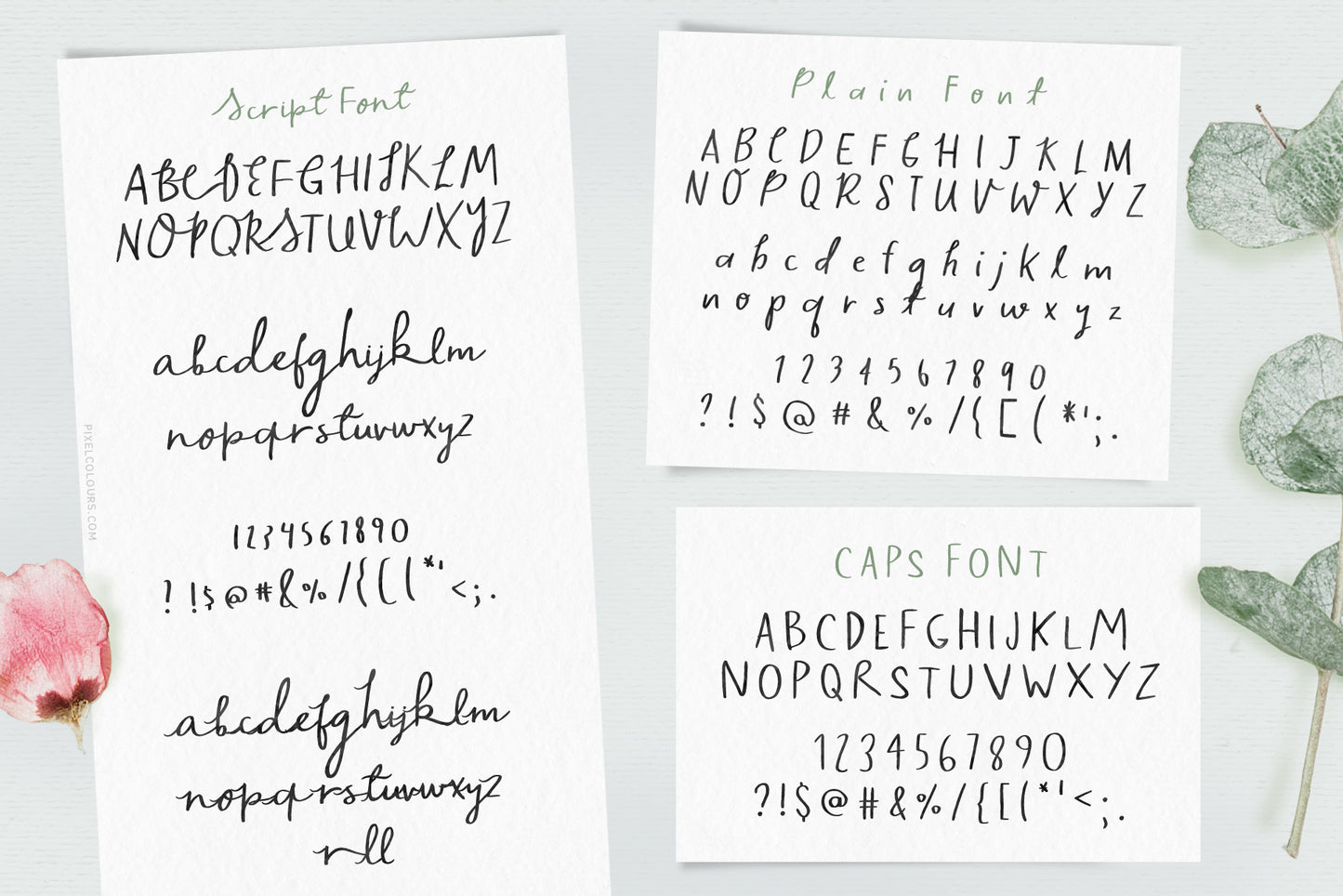 Sage and Pink Font and Logos