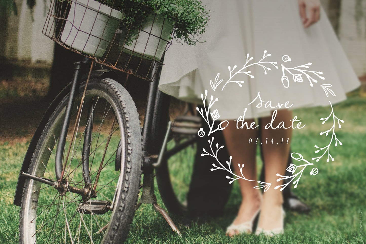 Sage and Pink Font and Logos