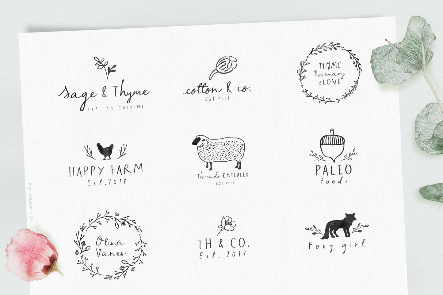 Sage and Pink Font and Logos