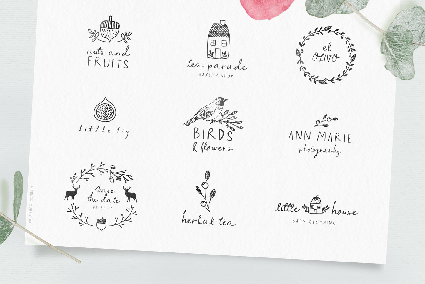 Sage and Pink Font and Logos