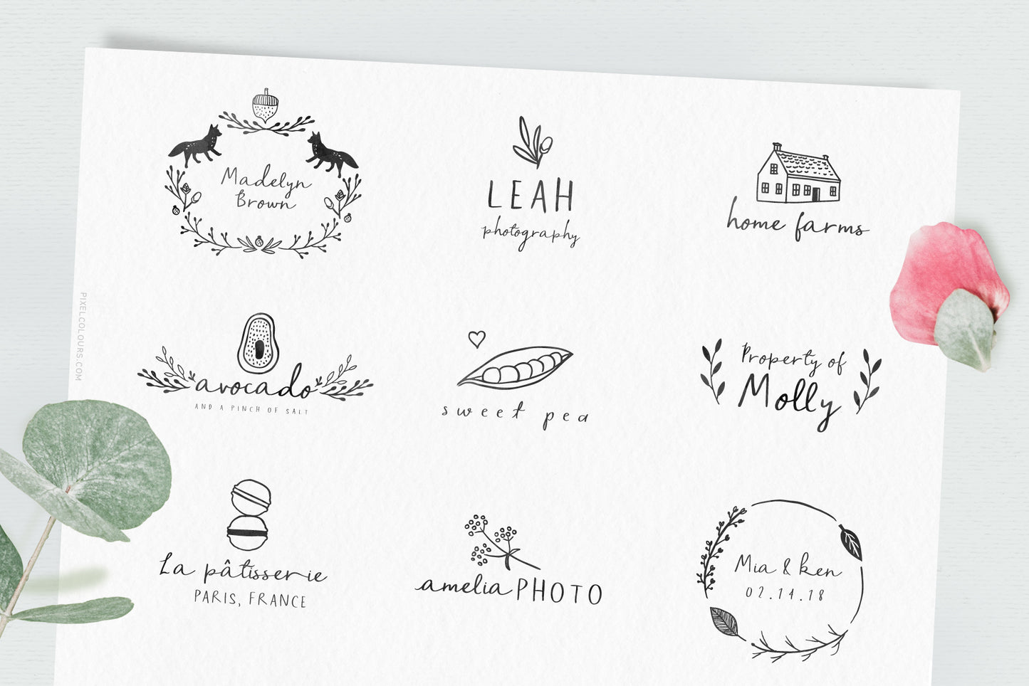 Sage and Pink Font and Logos