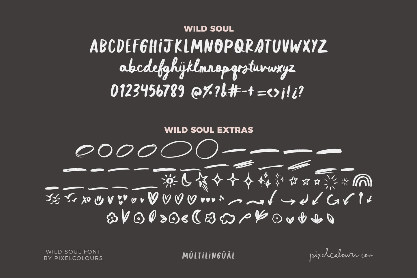 Wild Soul Script Brush Font Duo