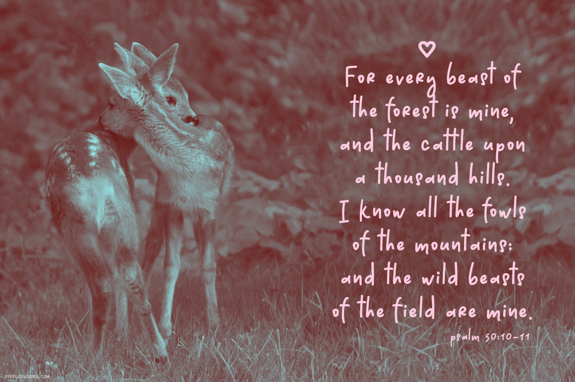 Deers photo with bible verse Psalm 50:10 featuring handwritten font with natural flow, available for free download
