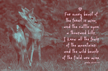 Deers photo with bible verse Psalm 50:10 featuring handwritten font with natural flow, available for free download