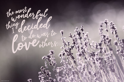 Botanical photo of lavanda with a love quote featuring handwritten font with a playful style, available for free download