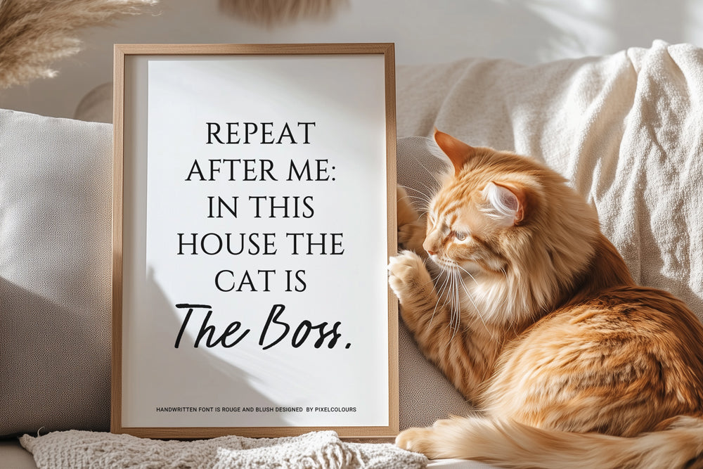 Orange cat near a frame with a fun cat quote featuring handwritten script font and serif font