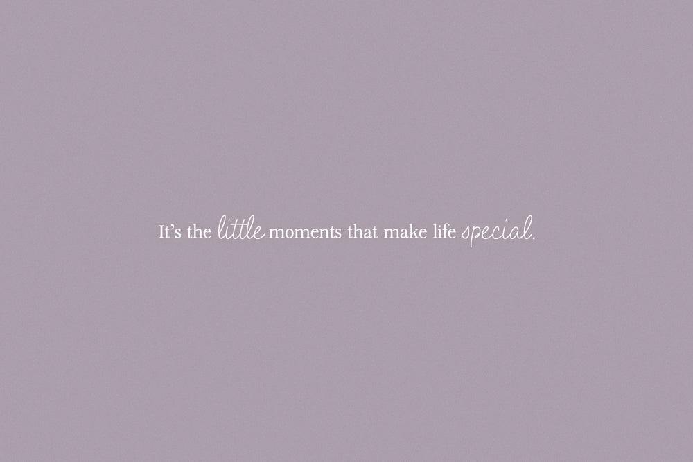 Lilac and Linen Monoline Script Font