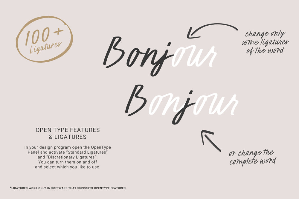 Rouge and Blush Script Font