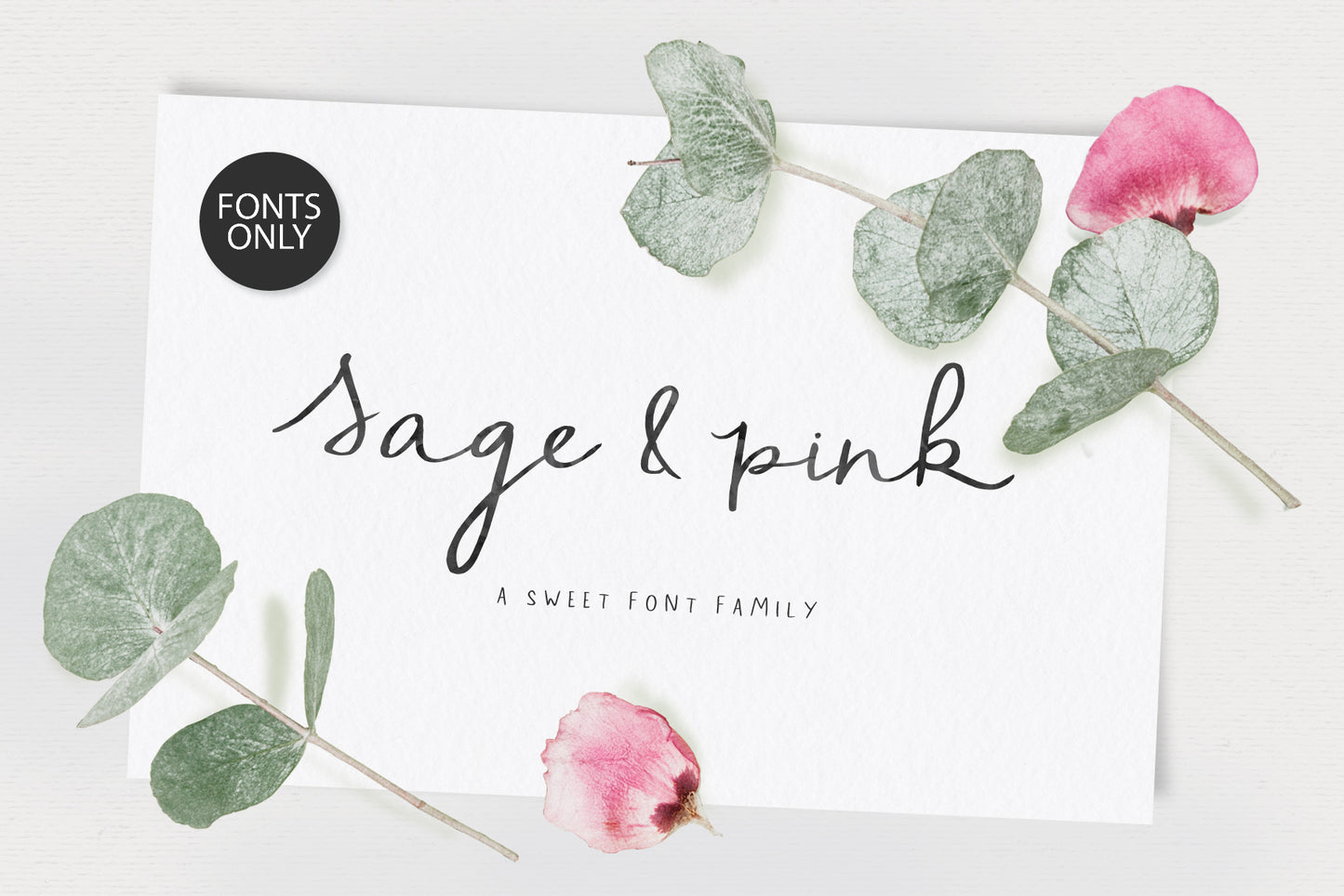 Sage and Pink Handwritten Font Family